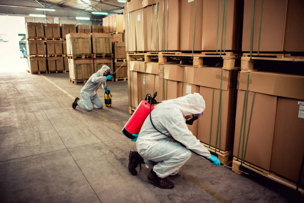 Best Emergency Pest Control  in Shaw Heights, CO