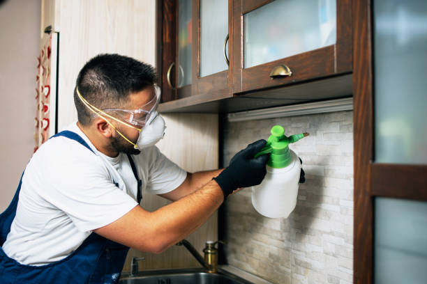 Best Ant Control Services  in Shaw Heights, CO