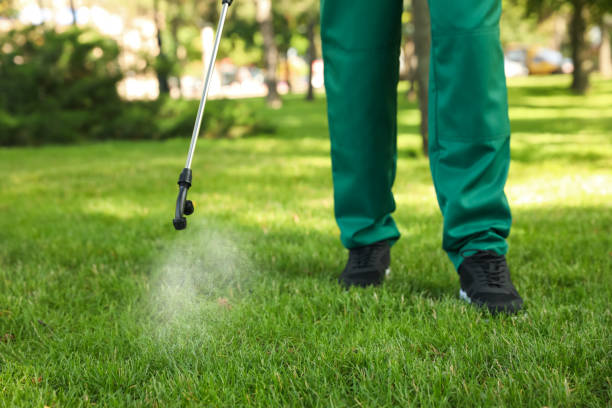 Best Termite Control Services  in Shaw Heights, CO