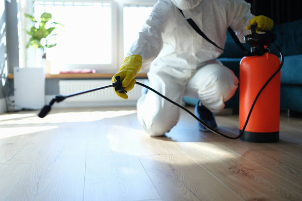 Best Flea Control Services  in Shaw Heights, CO