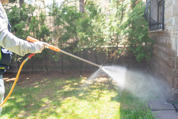 Best Cockroach Control Services  in Shaw Heights, CO