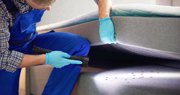 Best Residential Pest Control  in Shaw Heights, CO