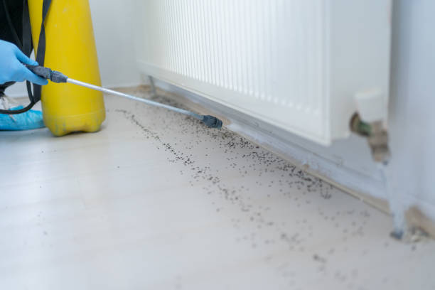 Pest Control Cost in Shaw Heights, CO