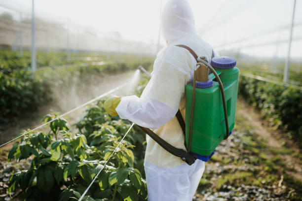 Best Commercial Pest Control Services  in Shaw Heights, CO